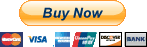 Logo of Paypal
